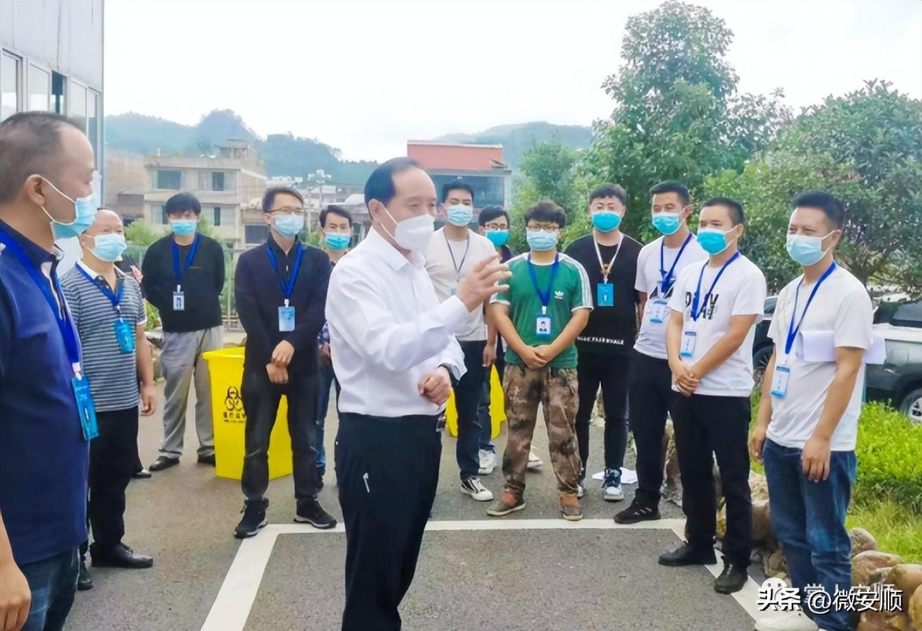 普定县最新领导班子观点论述概览